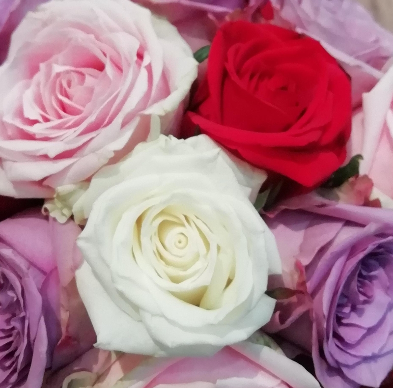 Fresh rose petals buy online or call 0121 616 6182