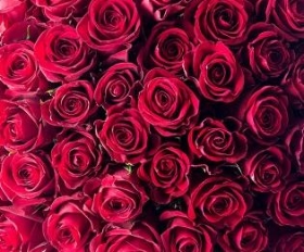Romance