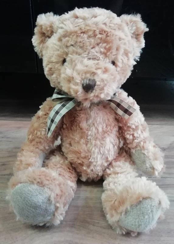 medium teddy bear