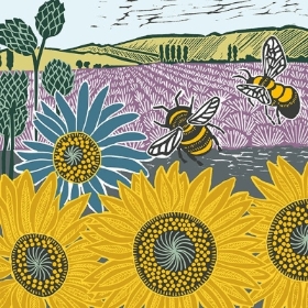 Art file nature trail gift cards
