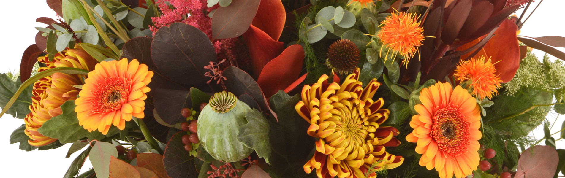 Ethos, West Midlands Birmingham, Florist & Flower Delivery Service