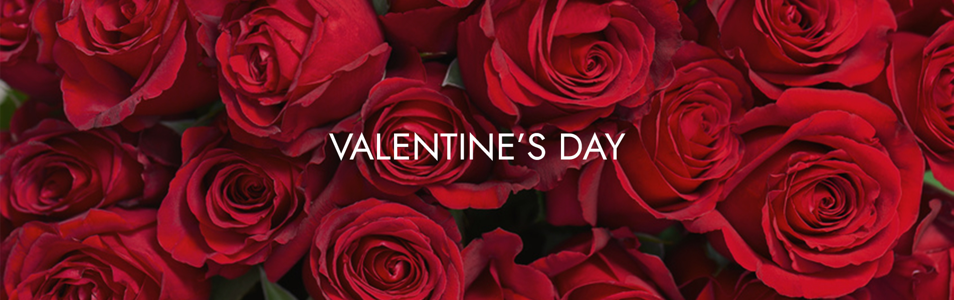 Ethos, West Midlands Birmingham, Florist & Flower Delivery Service